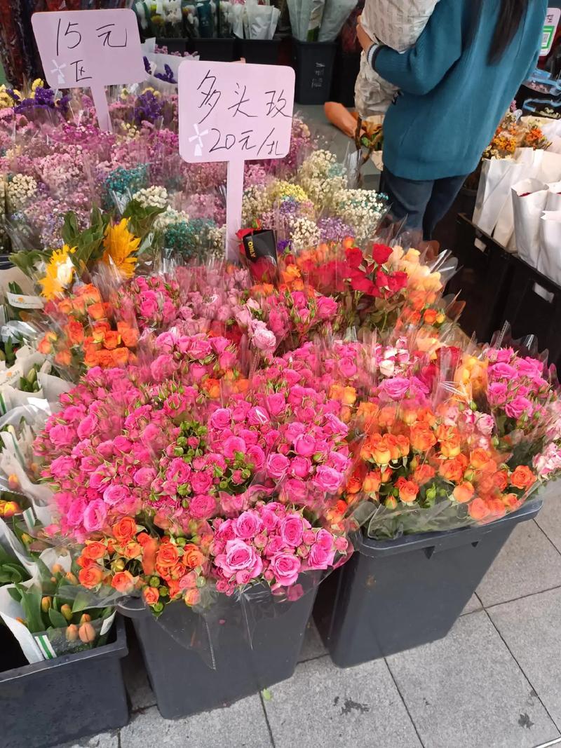 深圳荷蘭花卉小鎮 花的世界，花的海洋，群芳競艷百花齊放