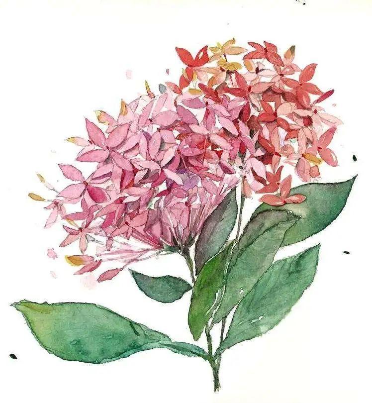 走！出門打卡深圳這“花花世界”