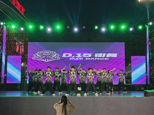 舞動(dòng)青春風(fēng)采，點(diǎn)燃城市激情——漯河市第五屆街舞文化藝術(shù)節(jié)圓滿落幕